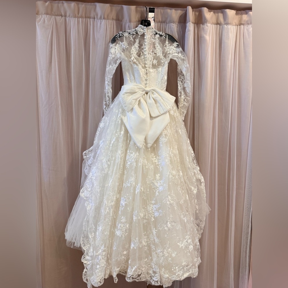 Elegant Modern Lace Wedding Dress - Picture 6 of 8